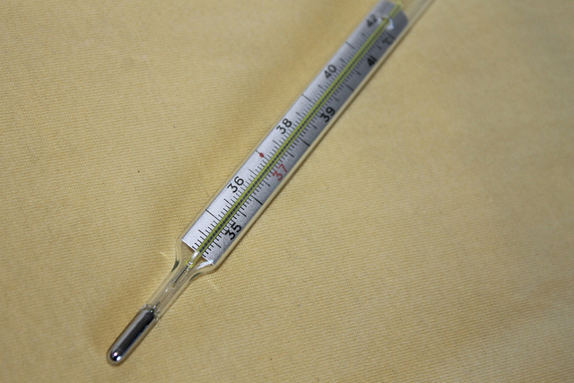 Mercury thermometer: Photo by Da Sal on Flickr