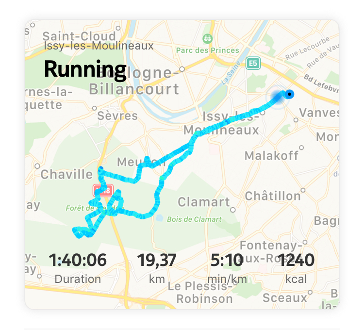 Die Karte von Mikaëls Lauf durch den Wald von Meudon in der Health Mate App mit Connected GPS